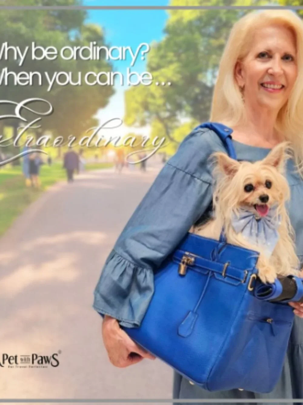 Luxury Airline-Approved Pet Carrier – Like New – Designer Handbag Style